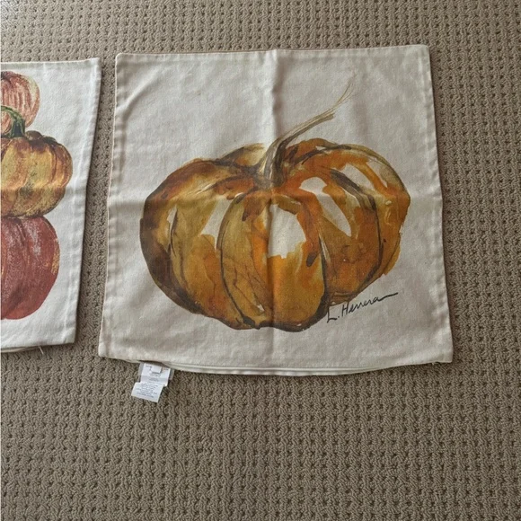 Pottery Barn Autumn Harvest Pillow Covers set of two. - Picture 2 of 5